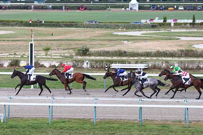 Photo d'arrivée de la course pmu PRIX DE LA FORET DE BORD à DEAUVILLE le Samedi 8 août 2020