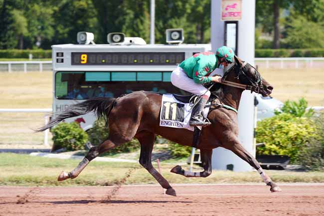 Photo d'arrivée de la course pmu PRIX DE LA PORTE DE PLAISANCE à ENGHIEN le Dimanche 9 août 2020