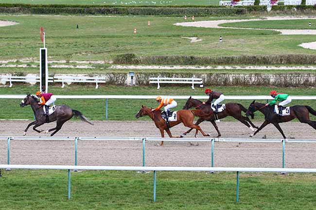 Photo d'arrivée de la course pmu PRIX DE PONT-AUDEMER à DEAUVILLE le Mardi 18 août 2020