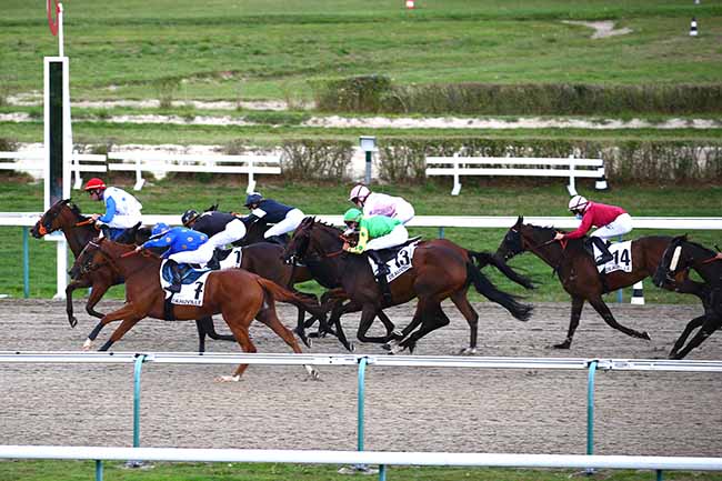 Photo d'arrivée de la course pmu PRIX DU QUAI DE LA MARINE à DEAUVILLE le Mardi 18 août 2020