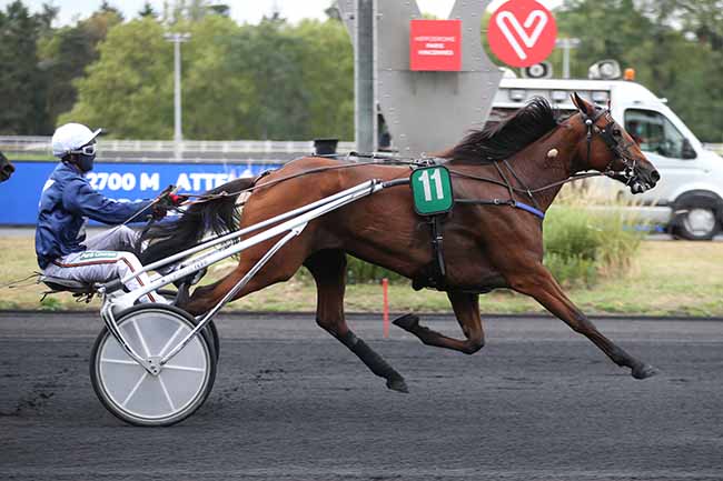 Photo d'arrivée de la course pmu PRIX GUY LE GONIDEC à PARIS-VINCENNES le Mercredi 19 août 2020