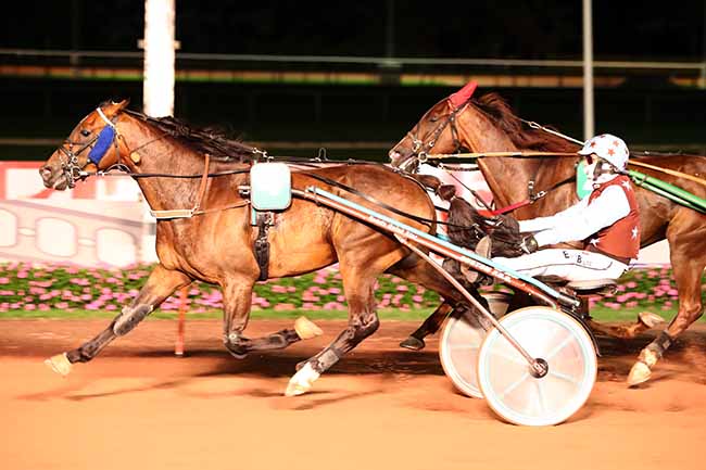 Photo d'arrivée de la course pmu PRIX DES LOBELIAS à CABOURG le Vendredi 21 août 2020