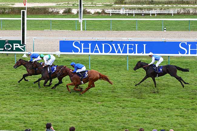 Photo d'arrivée de la course pmu SHADWELL PRIX DE LA NONETTE à DEAUVILLE le Samedi 22 août 2020