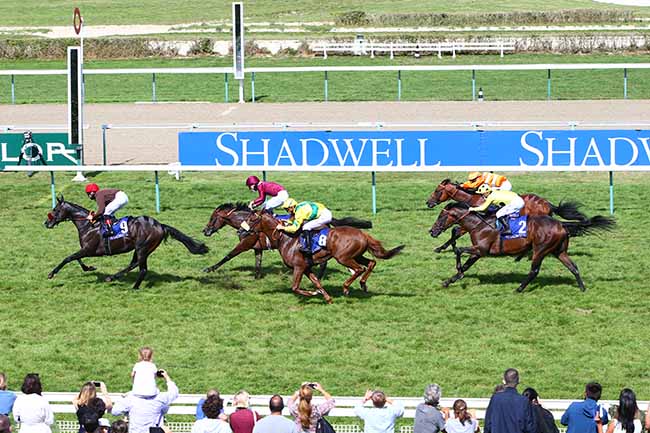 Photo d'arrivée de la course pmu SHADWELL PRIX DAPHNIS à DEAUVILLE le Samedi 22 août 2020
