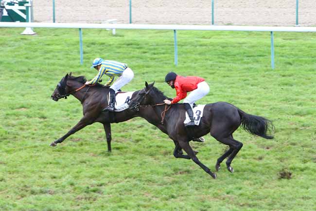 Photo d'arrivée de la course pmu PRIX DE LA CAUVINIERE à DEAUVILLE le Jeudi 27 août 2020