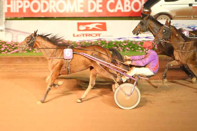 Photo d'arrivée de la course pmu PRIX DES ACONITS (GR B) à CABOURG le Vendredi 28 août 2020
