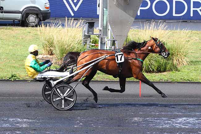 Photo d'arrivée de la course pmu CRITERIUM DES 5 ANS à PARIS-VINCENNES le Samedi 29 août 2020
