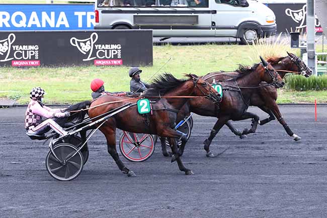 Photo d'arrivée de la course pmu YEARLING CUP 2020 - ARQANA TROT à PARIS-VINCENNES le Samedi 29 août 2020