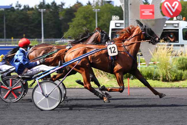 Photo d'arrivée de la course pmu PRIX DE NANGIS à PARIS-VINCENNES le Lundi 31 août 2020