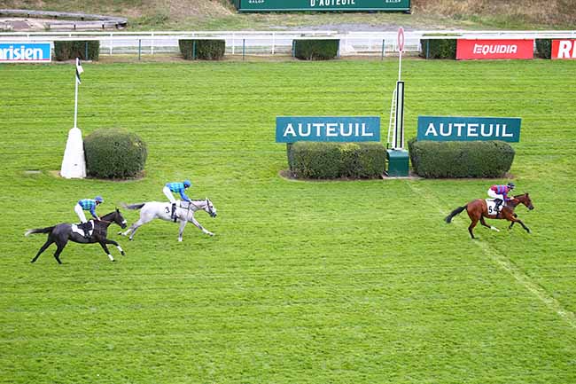 Photo d'arrivée de la course pmu PRIX WEATHER PERMITTING à AUTEUIL le Mardi 1 septembre 2020