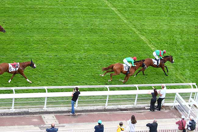 Photo d'arrivée de la course pmu PRIX ACHILLE-FOULD à AUTEUIL le Mardi 1 septembre 2020