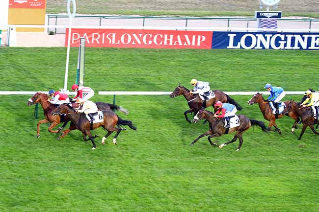 Photo d'arrivée de la course pmu PRIX DE PONTHIEU à LONGCHAMP le Jeudi 3 septembre 2020