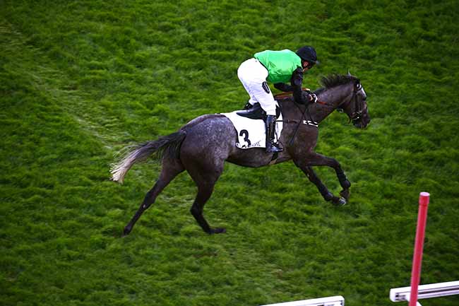 Photo d'arrivée de la course pmu PRIX MELANOS à AUTEUIL le Vendredi 4 septembre 2020