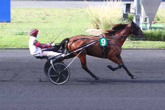 Photo d'arrivée de la course pmu PRIX D'ETE à PARIS-VINCENNES le Samedi 5 septembre 2020