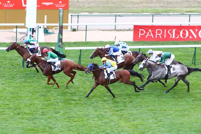 Photo d'arrivée de la course pmu PRIX DU PRINCE D'ORANGE à LONGCHAMP le Dimanche 6 septembre 2020
