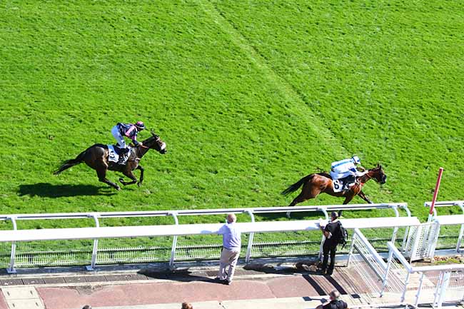 Photo d'arrivée de la course pmu PRIX AMATI à AUTEUIL le Mercredi 9 septembre 2020