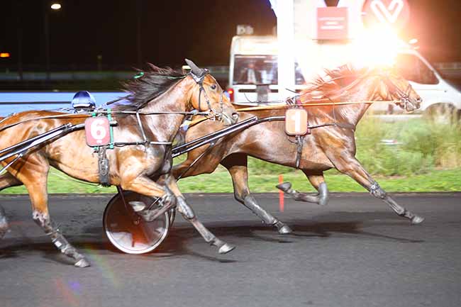 Photo d'arrivée de la course pmu PRIX CURSA à PARIS-VINCENNES le Vendredi 11 septembre 2020