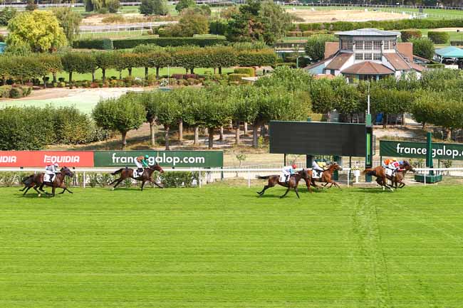 Photo d'arrivée de la course pmu PRIX D'HARDRICOURT à SAINT-CLOUD le Vendredi 11 septembre 2020