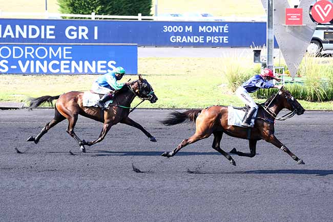 Photo d'arrivée de la course pmu PRIX DE NORMANDIE à PARIS-VINCENNES le Samedi 12 septembre 2020