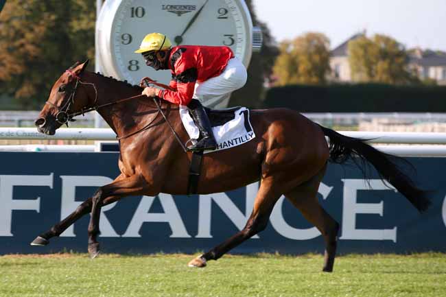 Photo d'arrivée de la course pmu GRAND PRIX DES ANGLO-ARABES à CHANTILLY le Samedi 12 septembre 2020