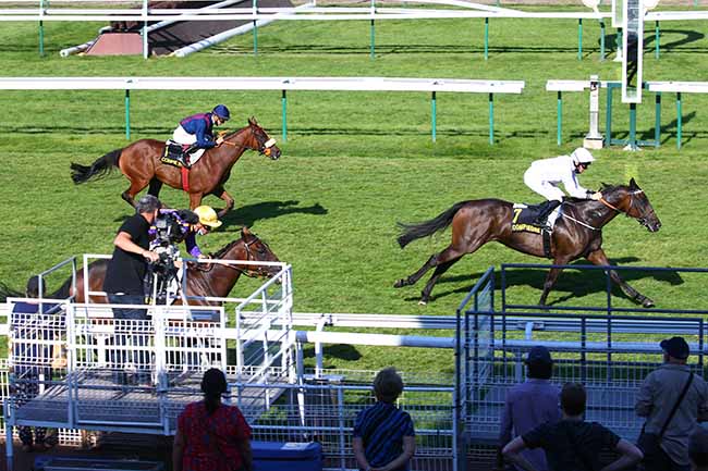 Photo d'arrivée de la course pmu PRIX DE RETHONDES à COMPIEGNE le Lundi 14 septembre 2020