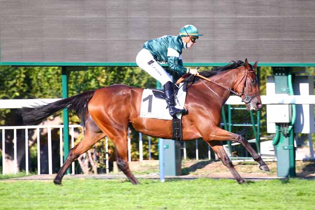 Photo d'arrivée de la course pmu PRIX DU VAL D'OR à SAINT-CLOUD le Mardi 15 septembre 2020