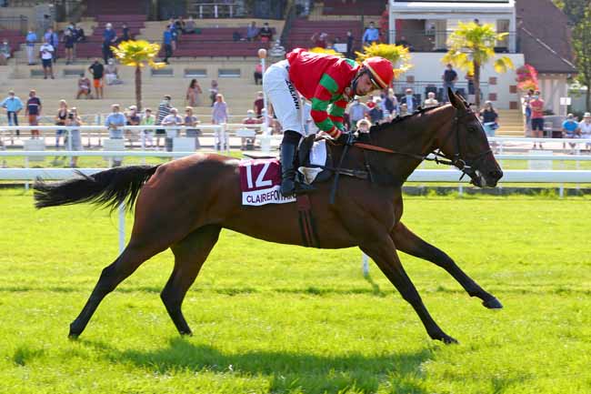 Photo d'arrivée de la course pmu PRIX OFFEMONT à CLAIREFONTAINE le Mardi 15 septembre 2020
