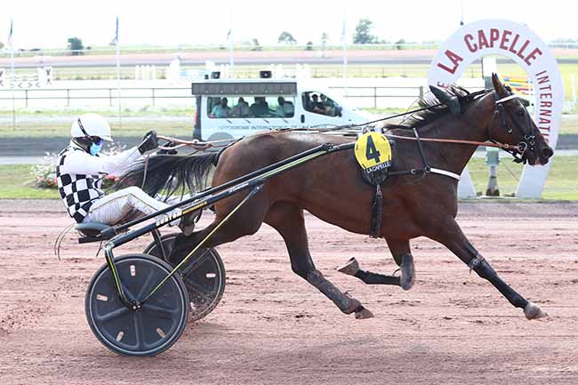 Photo d'arrivée de la course pmu PRIX DE SAINT-OMER à LA CAPELLE le Mercredi 16 septembre 2020