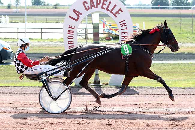Photo d'arrivée de la course pmu PRIX D'AMIENS à LA CAPELLE le Mercredi 16 septembre 2020