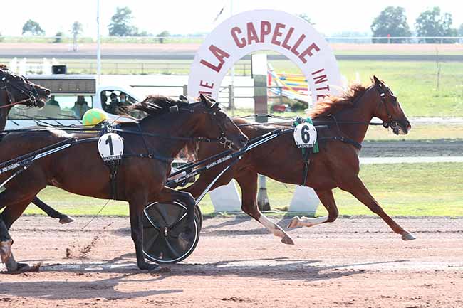 Photo d'arrivée de la course pmu GRAND PRIX DE LA FEDERATION REGIONALE DU NORD à LA CAPELLE le Mercredi 16 septembre 2020