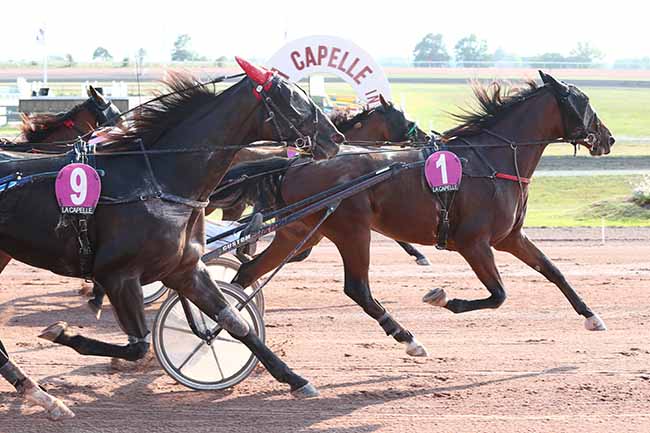 Photo d'arrivée de la course pmu PRIX LOUIS HENNEBELLE à LA CAPELLE le Mercredi 16 septembre 2020