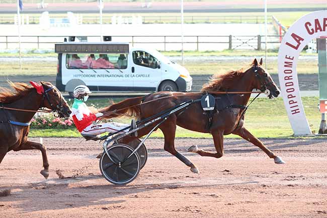 Photo d'arrivée de la course pmu PRIX MICHEL FLANDRE à LA CAPELLE le Mercredi 16 septembre 2020