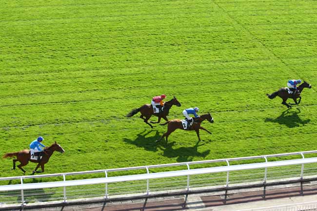 Photo d'arrivée de la course pmu PRIX FINOT à AUTEUIL le Mercredi 16 septembre 2020