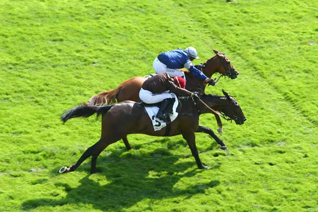 Photo d'arrivée de la course pmu PRIX ROYAL JUNIOR à AUTEUIL le Mercredi 16 septembre 2020