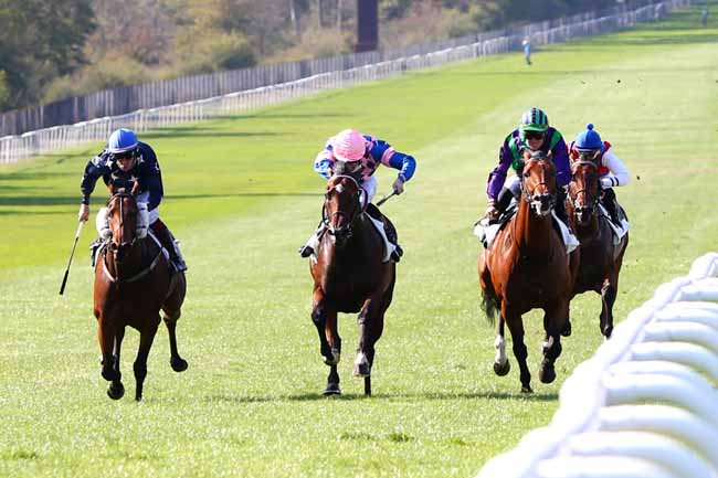 Photo d'arrivée de la course pmu PRIX DU LONG ROCHER à FONTAINEBLEAU le Mercredi 16 septembre 2020
