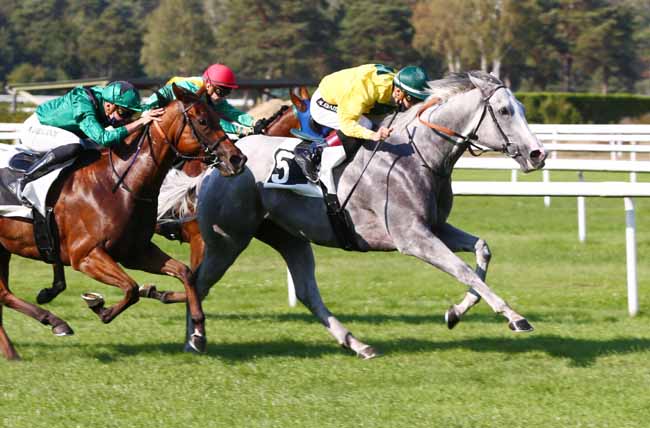 Photo d'arrivée de la course pmu PRIX DU ROCHER CASSEPOT à FONTAINEBLEAU le Mercredi 16 septembre 2020