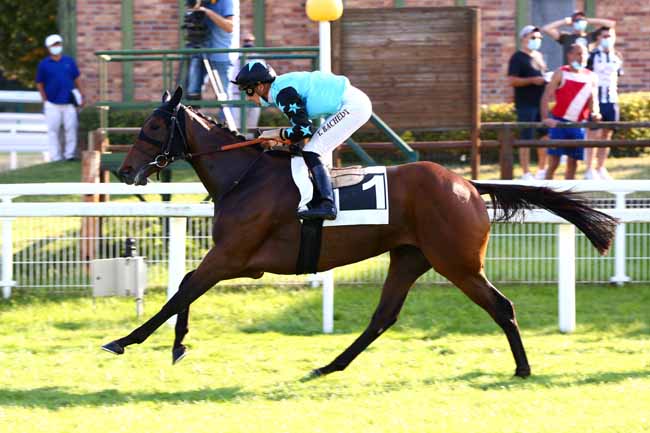 Photo d'arrivée de la course pmu PRIX DE LA CROIX DE VITRY à FONTAINEBLEAU le Mercredi 16 septembre 2020