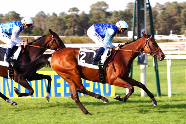 Photo d'arrivée de la course pmu GRAND PRIX DE FONTAINEBLEAU - FONDS EUROPEEN DE L'ELEVAGE à FONTAINEBLEAU le Mercredi 16 septembre 2020