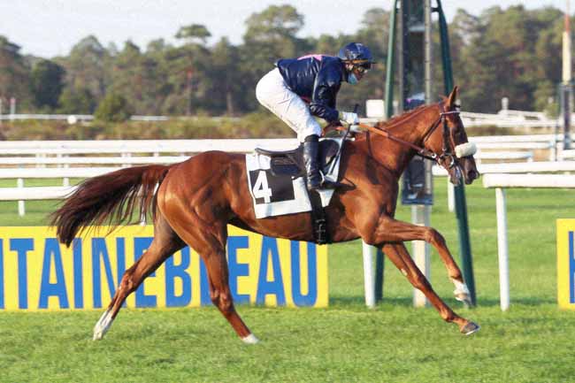 Photo d'arrivée de la course pmu PRIX JEAN GILLOIS à FONTAINEBLEAU le Mercredi 16 septembre 2020