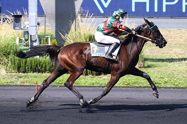 Photo d'arrivée de la course pmu PRIX GASTON ROUSSEL à PARIS-VINCENNES le Jeudi 17 septembre 2020