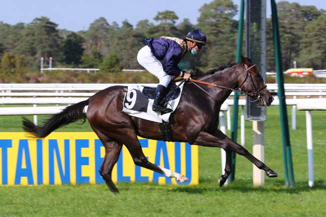 Photo d'arrivée de la course pmu PRIX DE LA SOCIETE DES COURSES DE RAMBOUILLET à FONTAINEBLEAU le Dimanche 20 septembre 2020