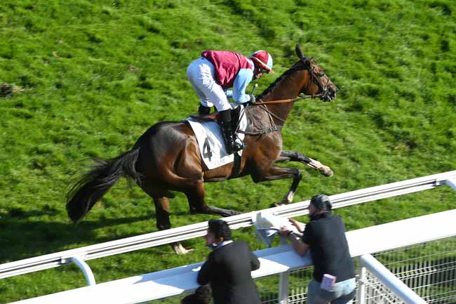 Photo d'arrivée de la course pmu PRIX DE COMPIEGNE à AUTEUIL le Mardi 22 septembre 2020