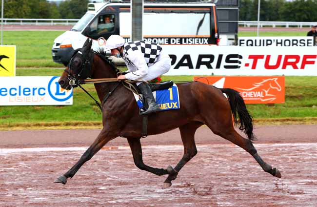 Photo d'arrivée de la course pmu PRIX DE LA VILLE DE LISIEUX à LISIEUX le Mercredi 23 septembre 2020