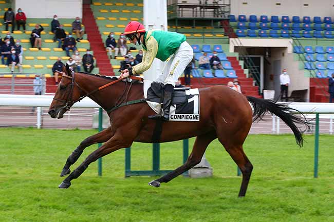 Photo d'arrivée de la course pmu PRIX DE CHABLIS à COMPIEGNE le Jeudi 24 septembre 2020