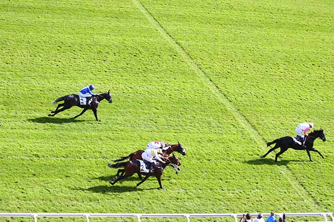 Photo d'arrivée de la course pmu PRIX GRANDLIEU à AUTEUIL le Samedi 26 septembre 2020