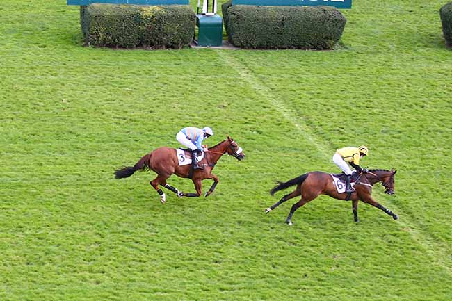 Photo d'arrivée de la course pmu PRIX MANDARIN à AUTEUIL le Samedi 26 septembre 2020
