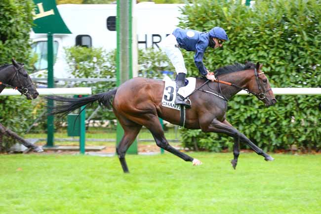 Photo d'arrivée de la course pmu CRITERIUM DE VITESSE à CHANTILLY le Lundi 28 septembre 2020