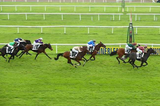 Photo d'arrivée de la course pmu PRIX DES ALISIERS à FONTAINEBLEAU le Mardi 29 septembre 2020