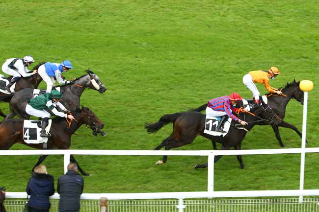 Photo d'arrivée de la course pmu PRIX DES CHATAIGNIERS à FONTAINEBLEAU le Mardi 29 septembre 2020
