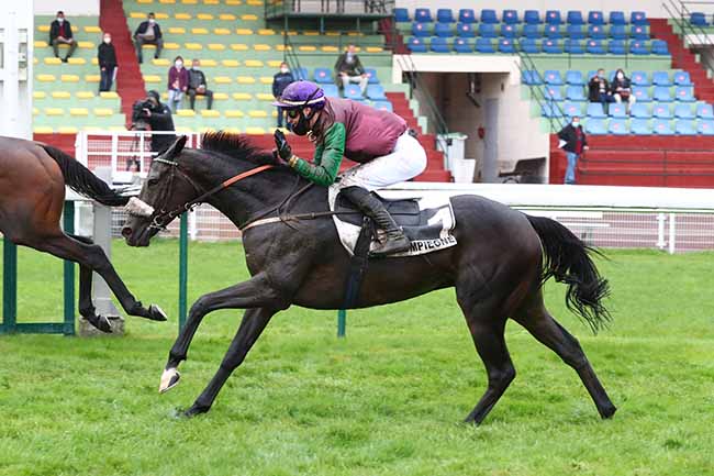 Photo d'arrivée de la course pmu PRIX DE LA GASCOGNE à COMPIEGNE le Mardi 29 septembre 2020